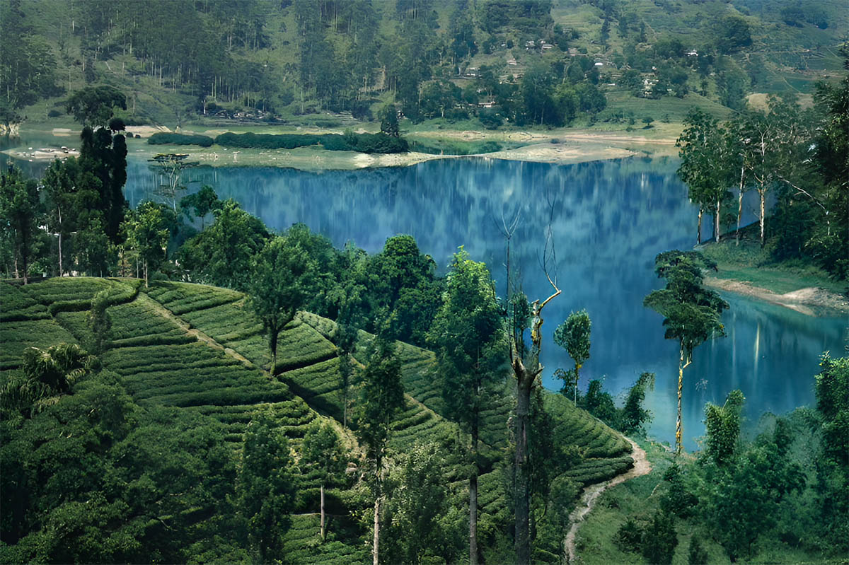 Lake 3