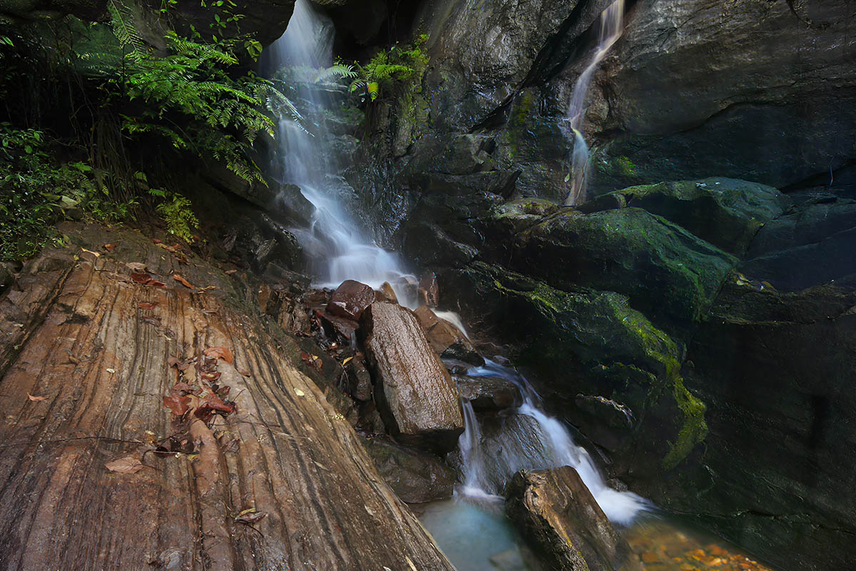 Nature Photography by Lankascape