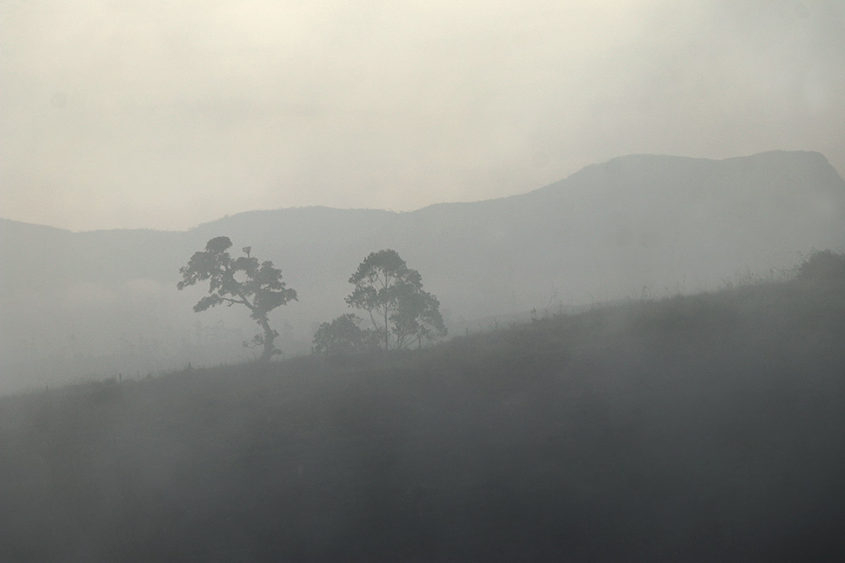 Mist 5