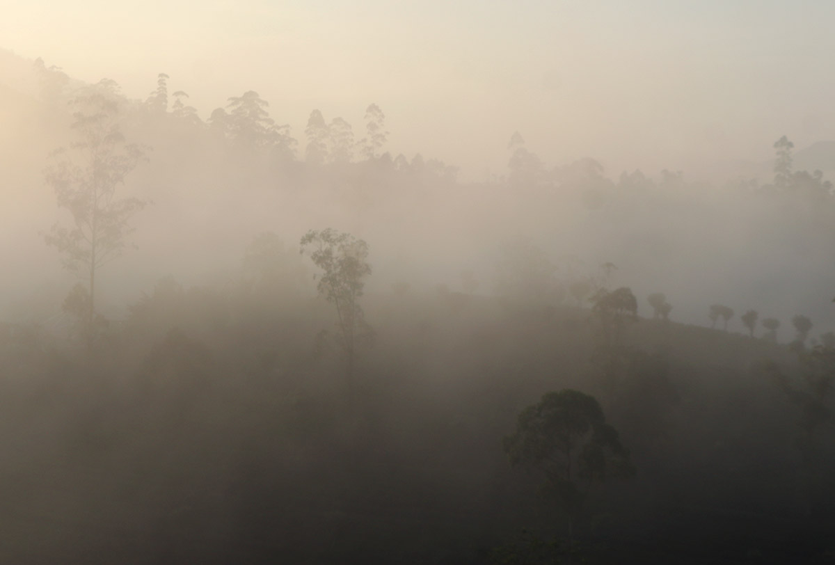 Mist 9