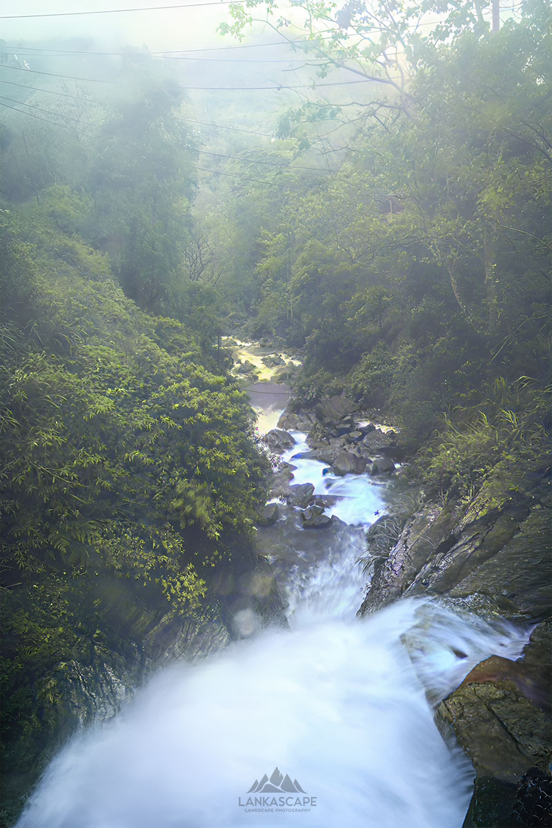 Nature 11