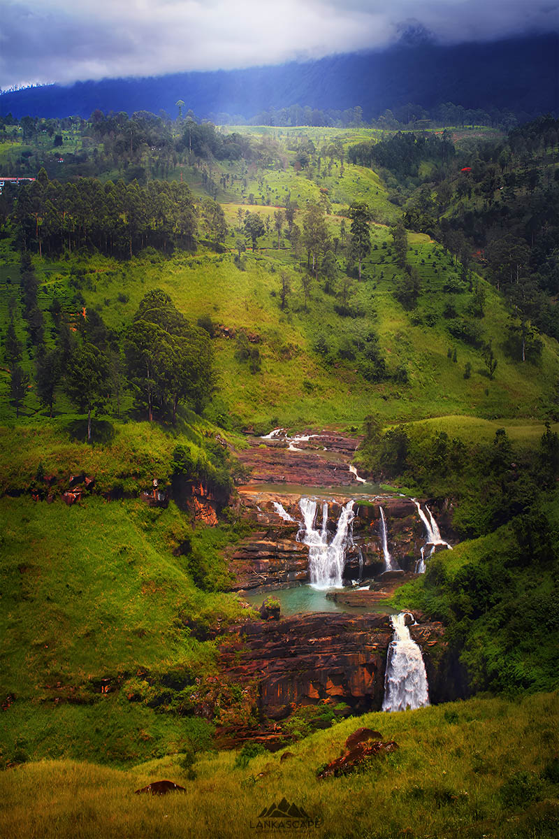 Nature 9