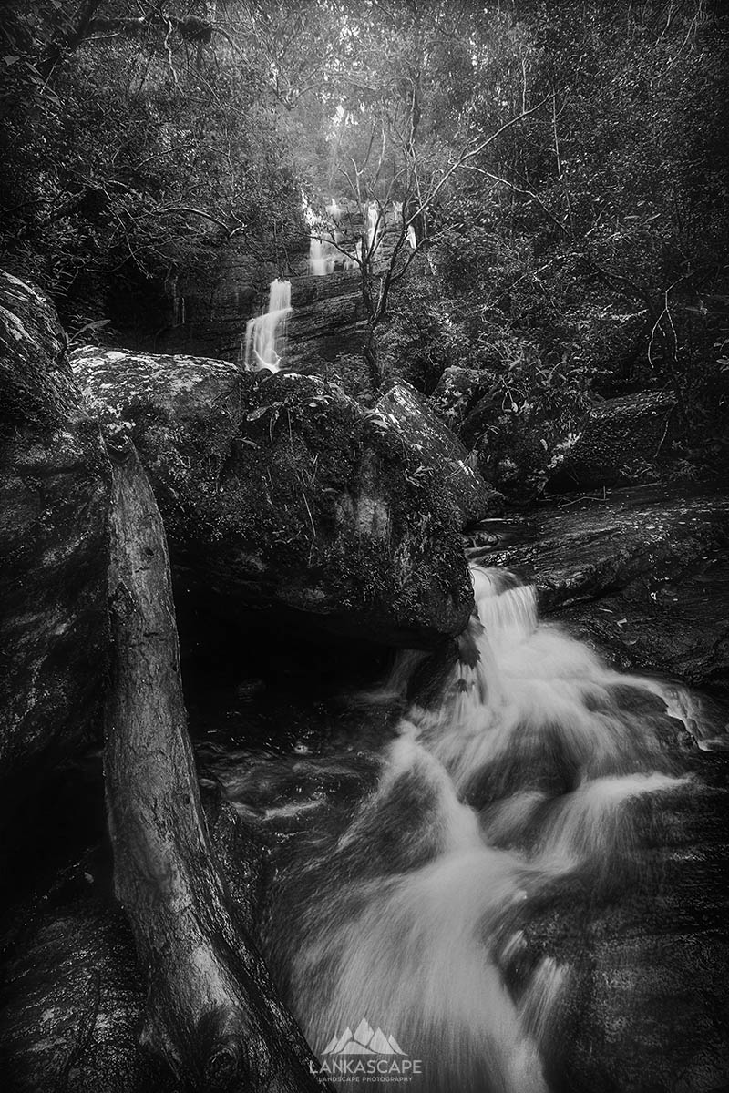 Monochrom Portfolio