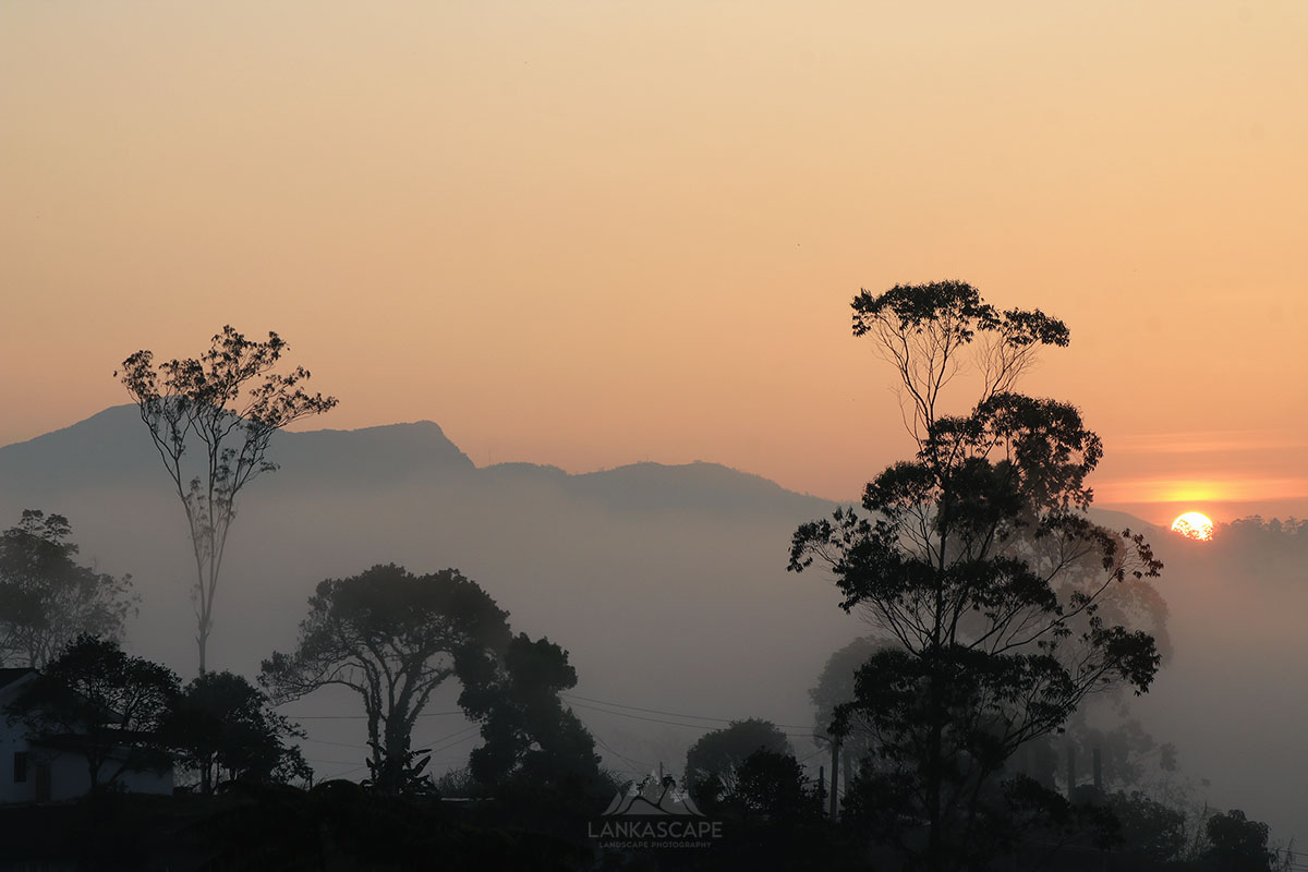 Sunrise Sunset 3