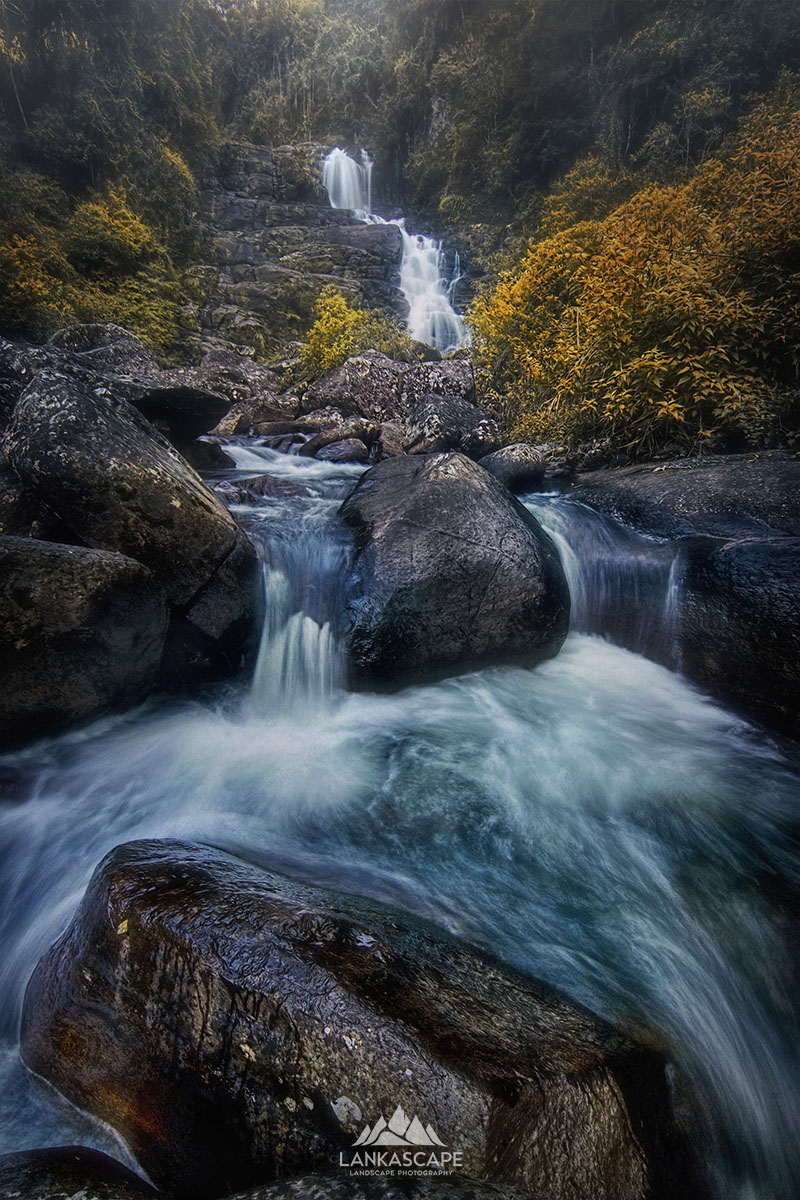 Award Shot 3 - Serene Waterscape