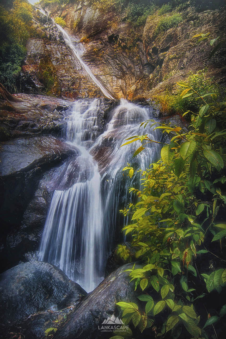Nature 2