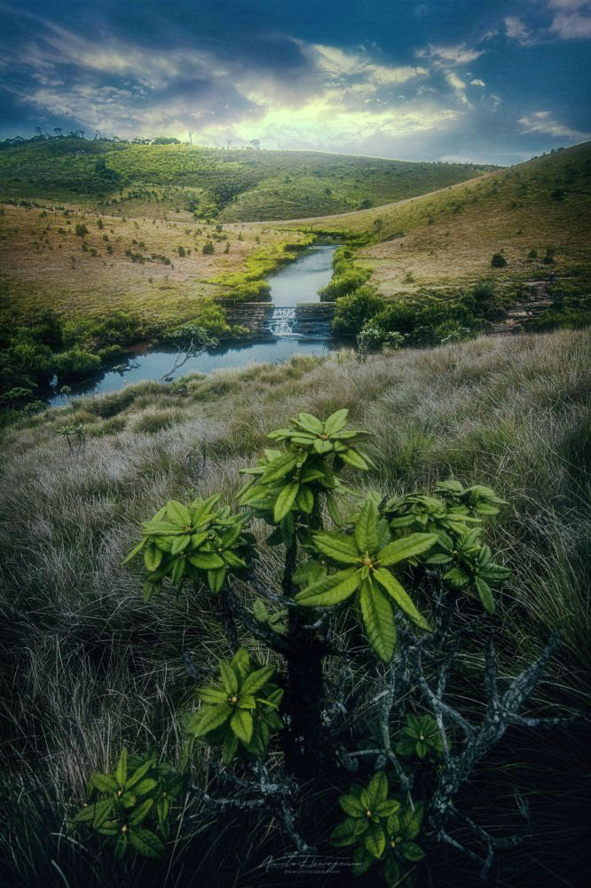 Horton Plains National Park