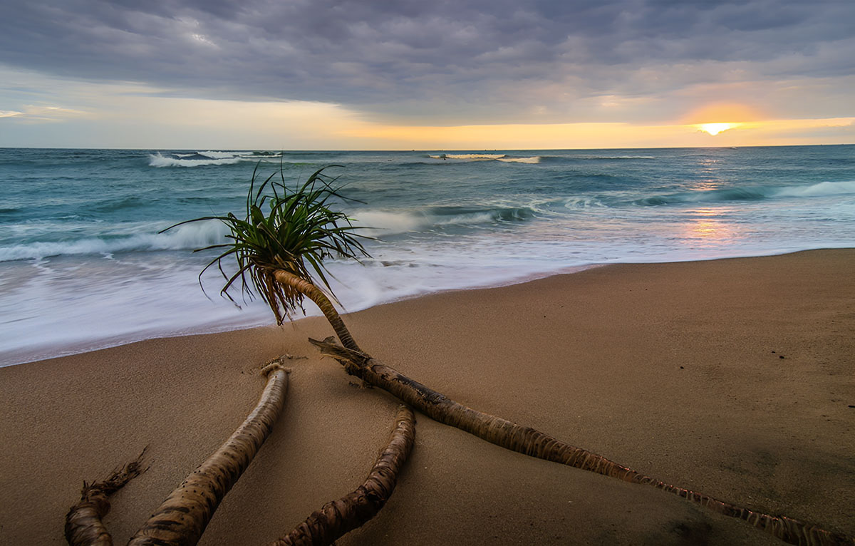 Seascape 1