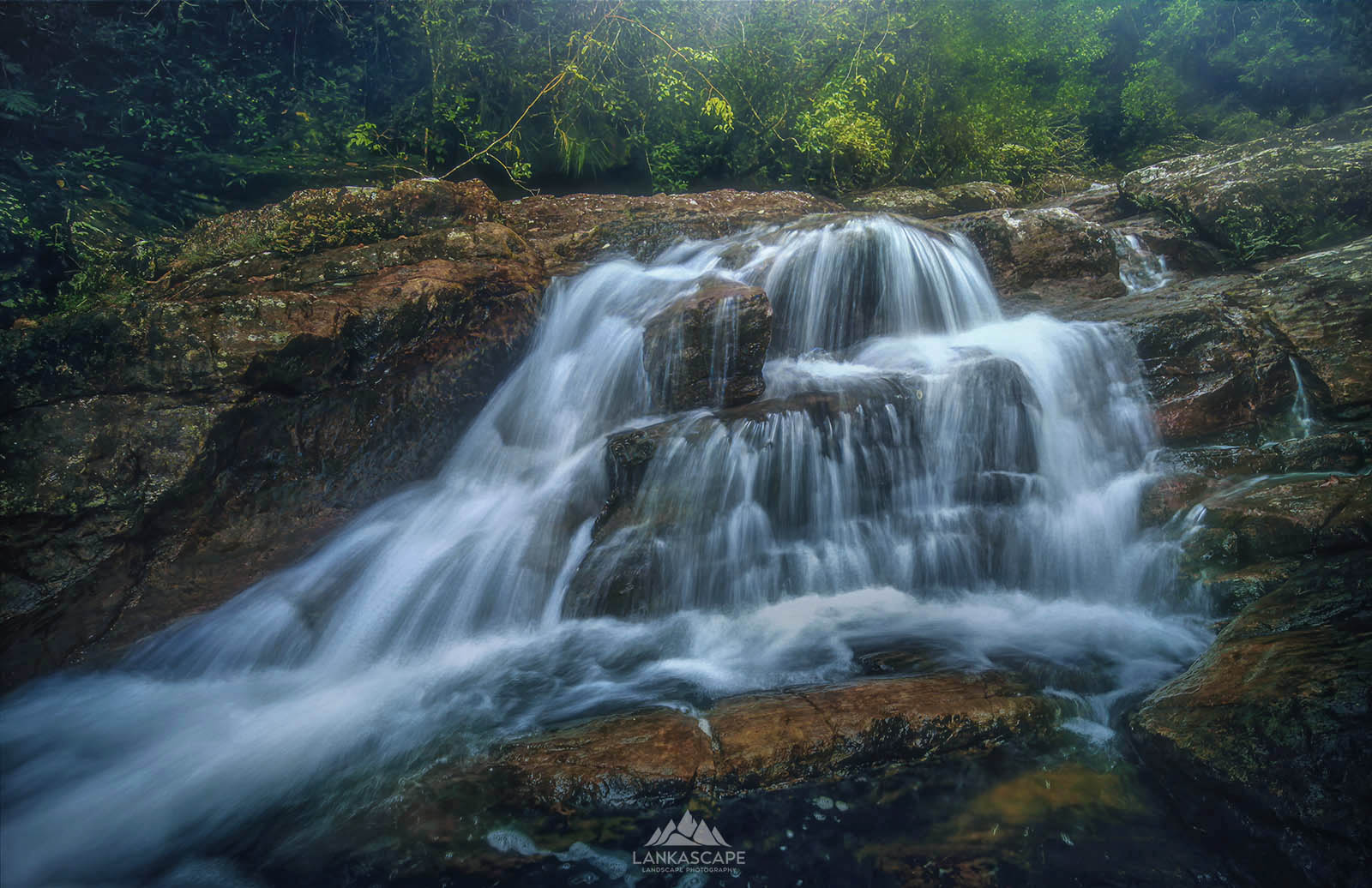 Sinharaja Rain Forest