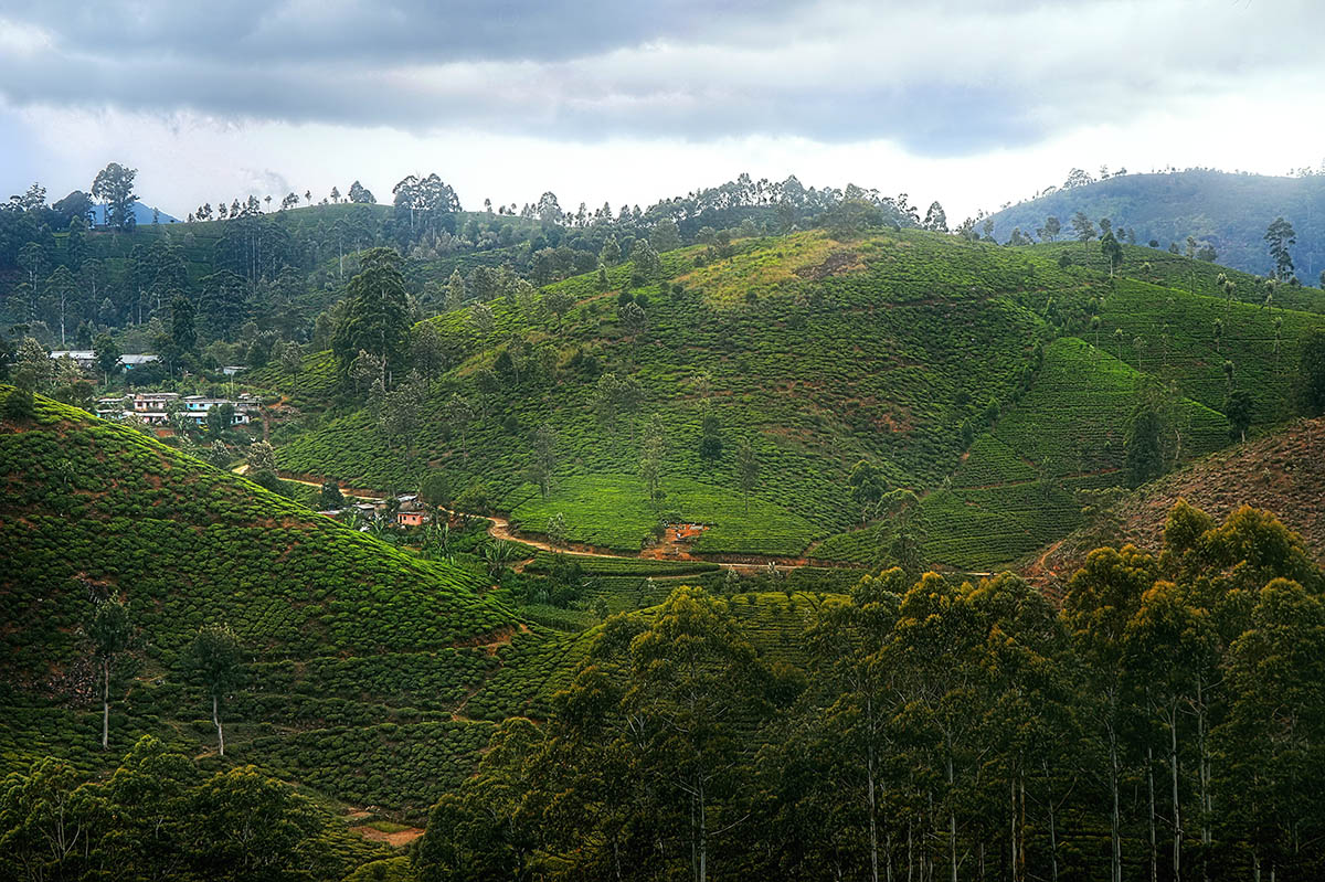 Mountain 8