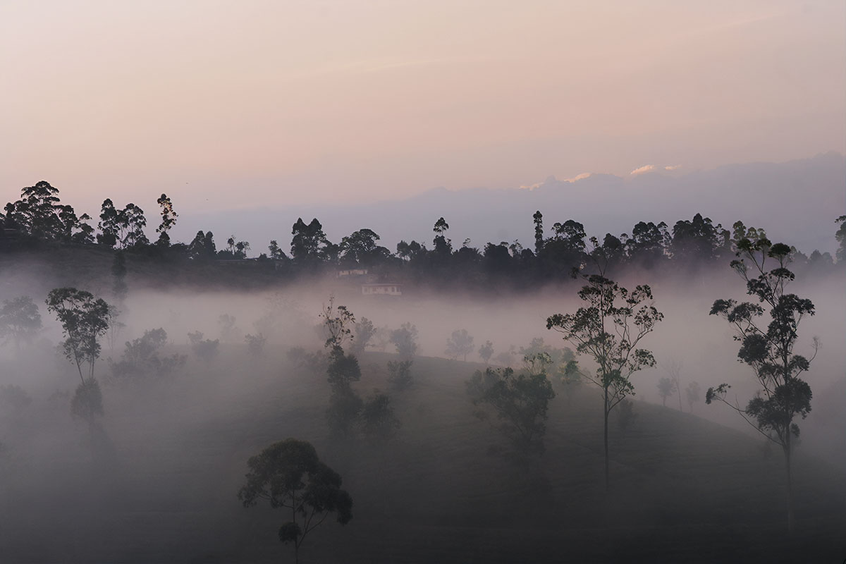 Landscape Photography
