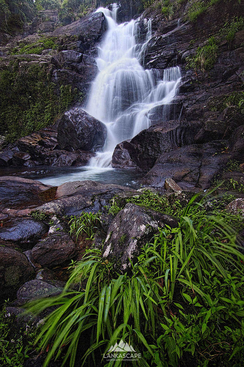 Nature 3