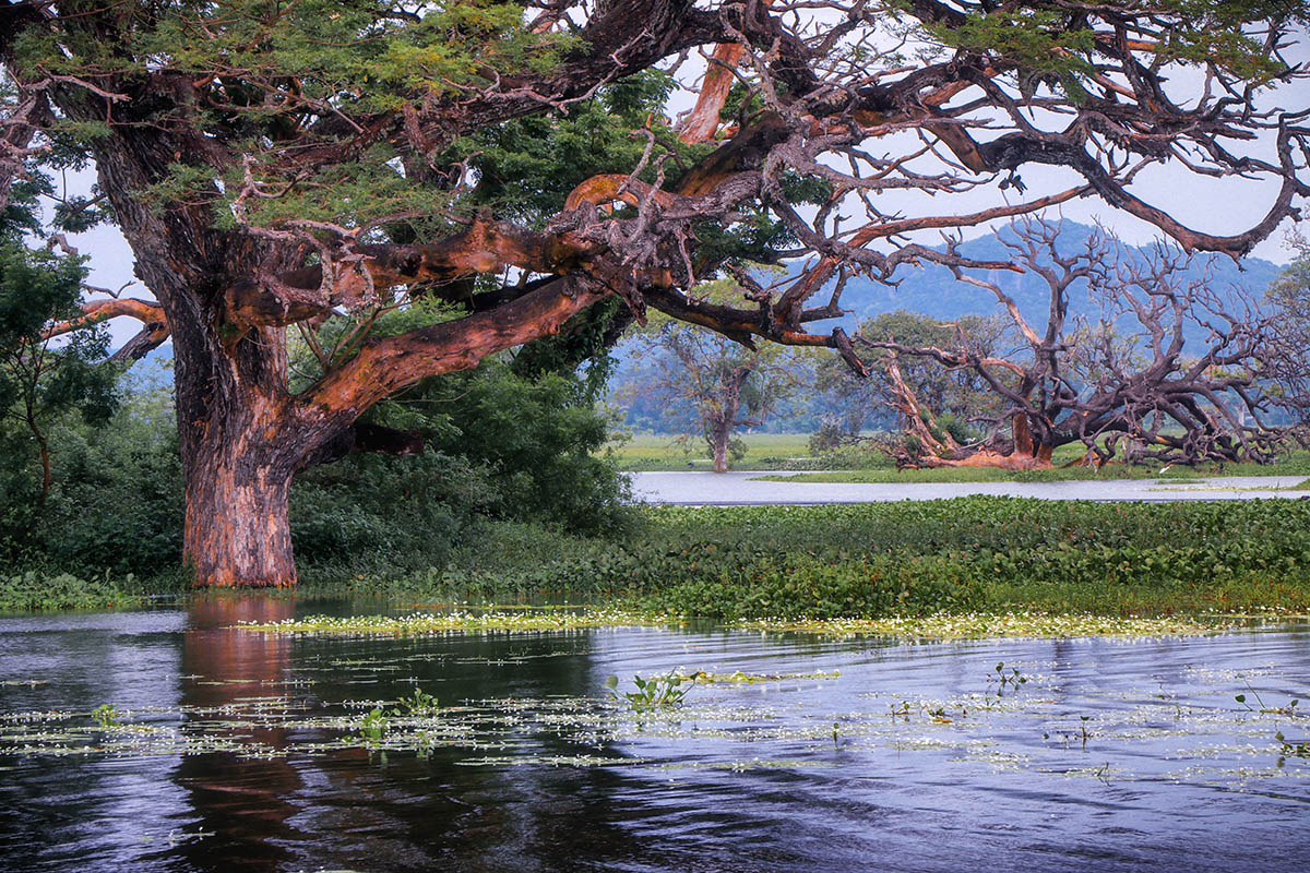 Lake Photography by Lankascape