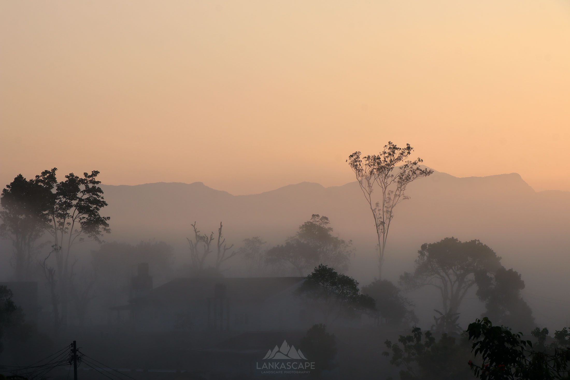 Sunrise Sunset 5