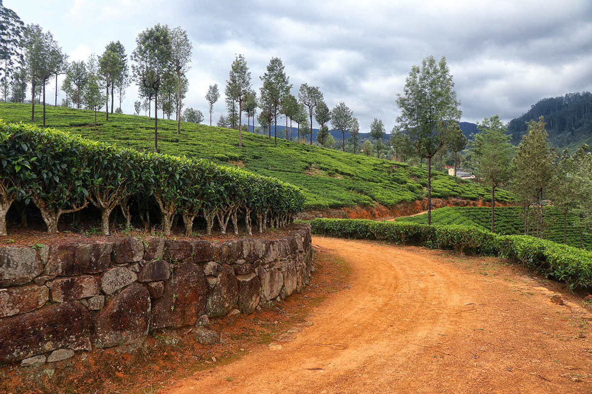 Countryside Photography