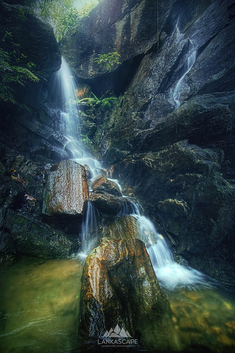 Nature 8