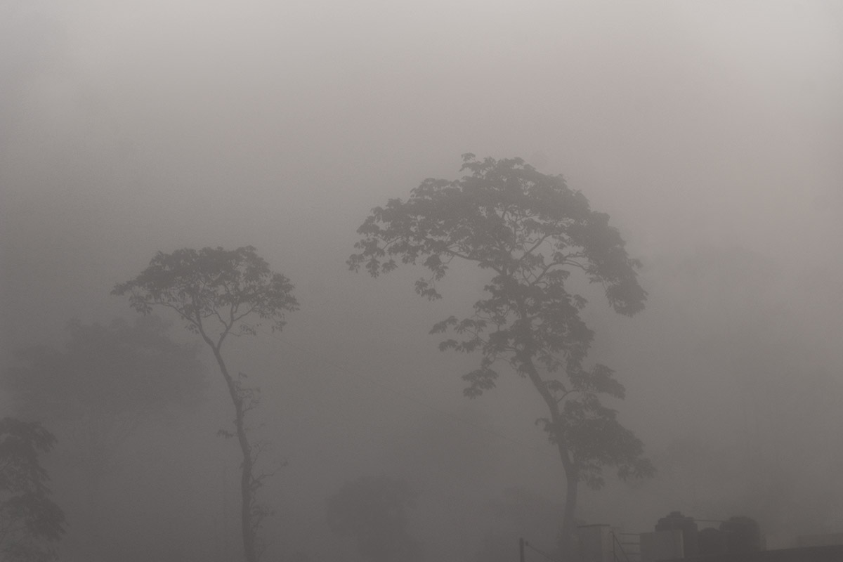 Mist Photography