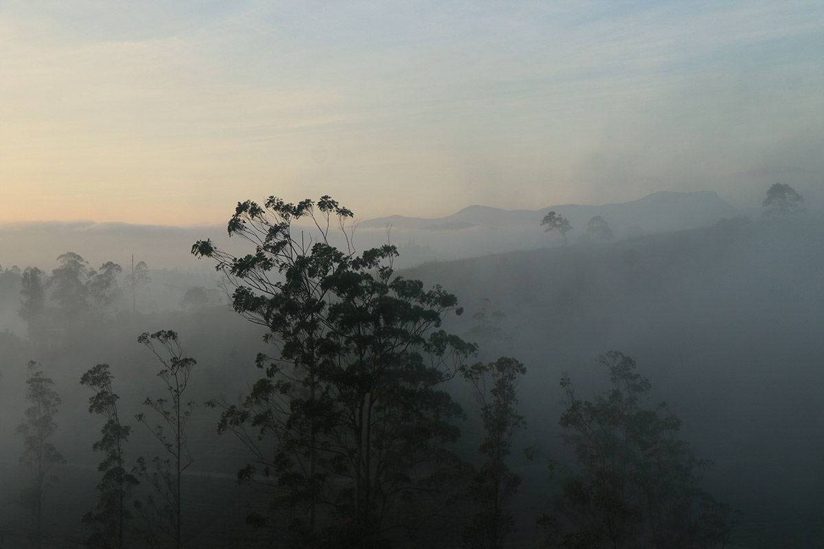 Mist 4