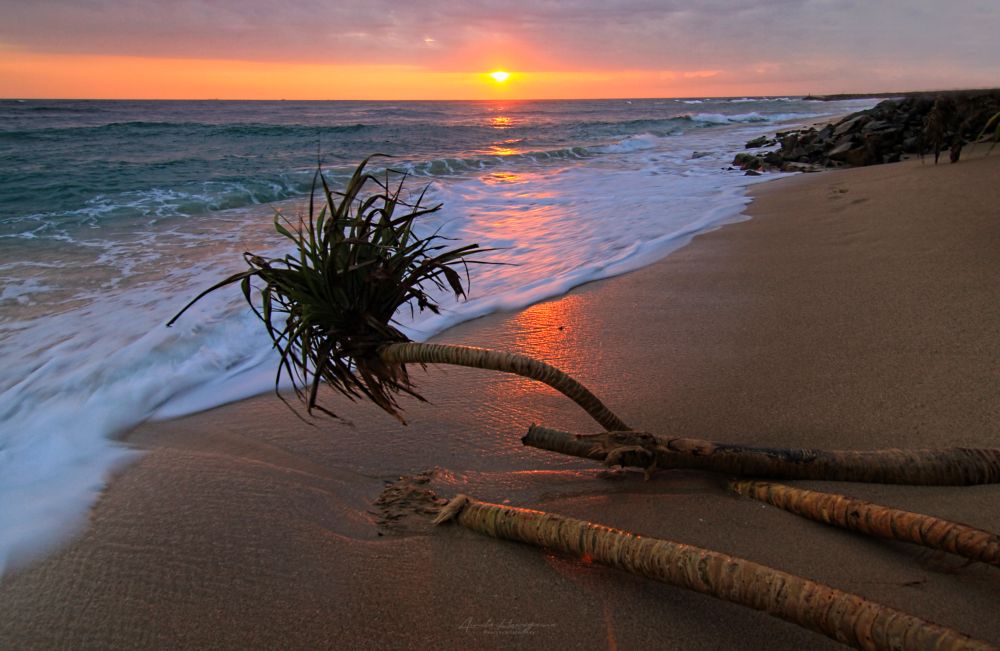Seascape 8