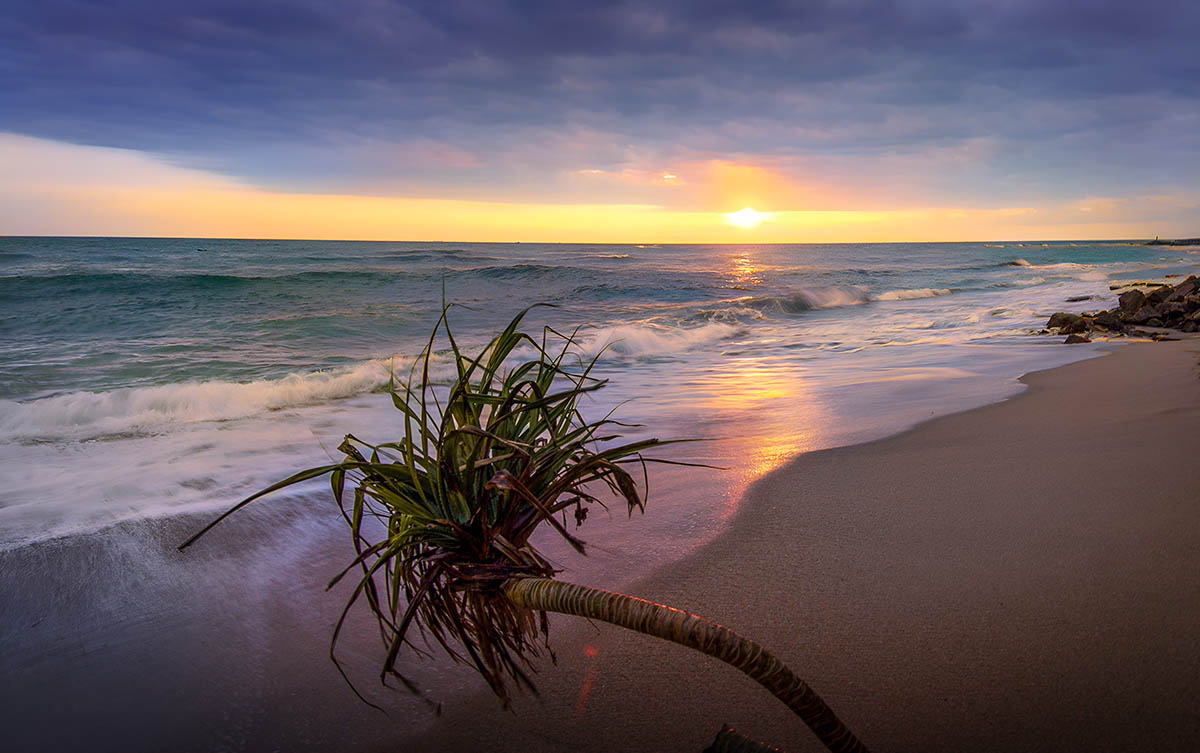 Seascape 14