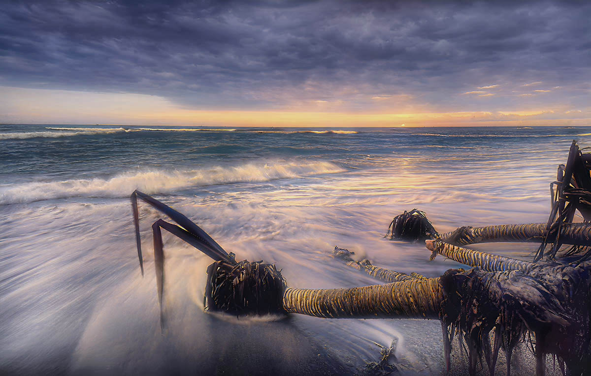 Seascape 15