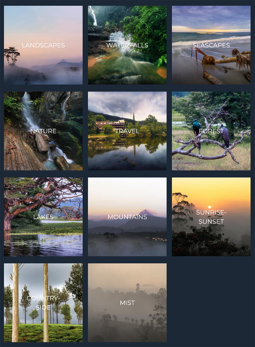 Photography portfolio showcase and presentation examples