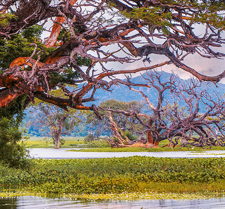 Lake Photography by Lankascape